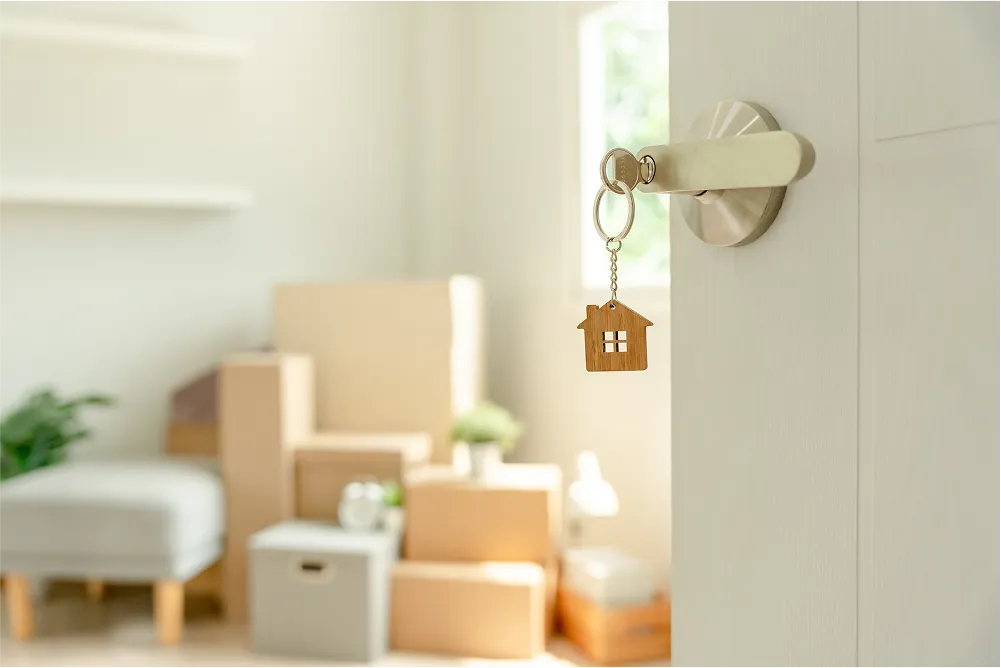 Apartment & Condo Moves